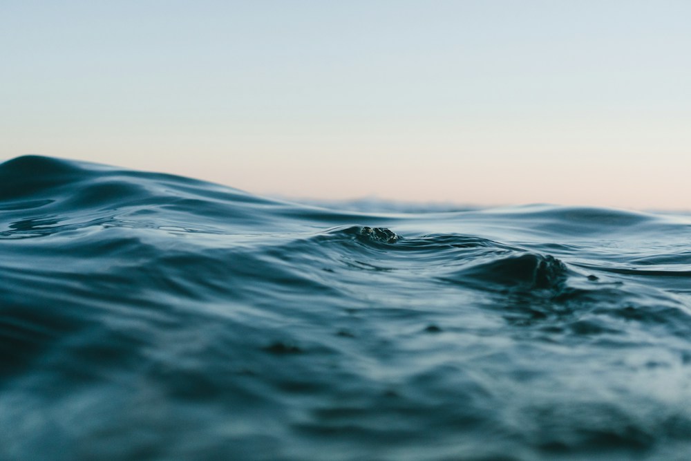 A rugged coastline and open ocean